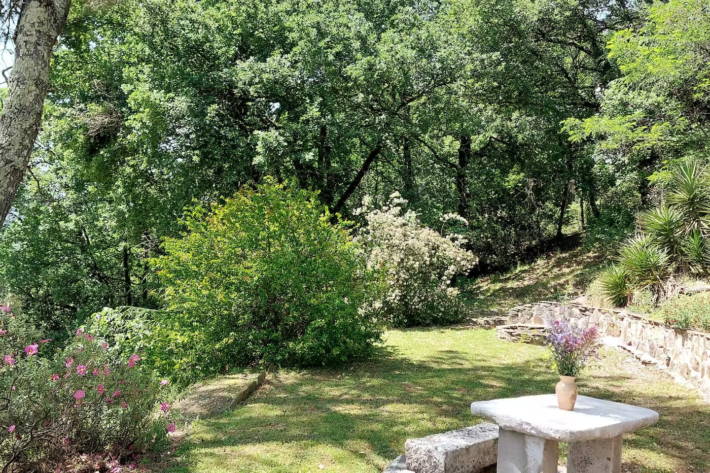 Jardin arboré et espace extérieur de la Villa Les Cèdres