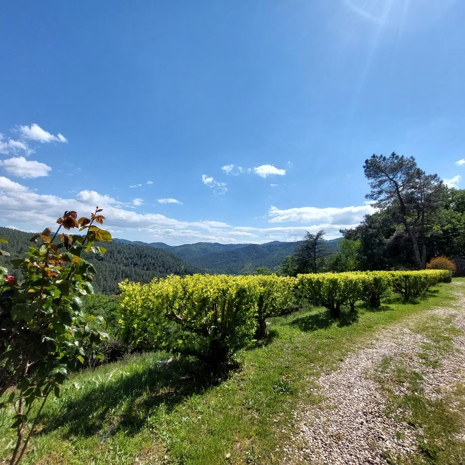 Panorama naturel autour du gîte Villa Les Cèdres en Cévennes