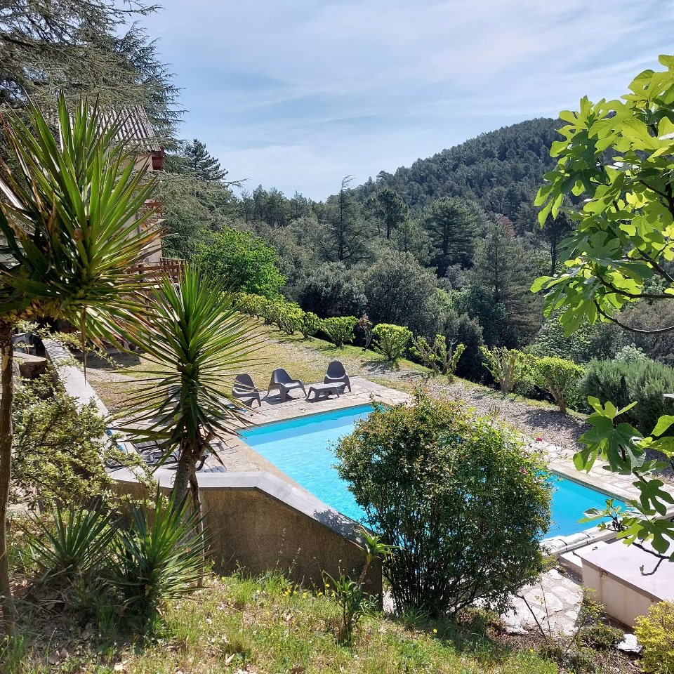 Piscine de la Villa Les Cèdres - Jardin villa les cedres